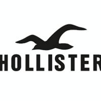 fake hollister clothes uk|hollister website.